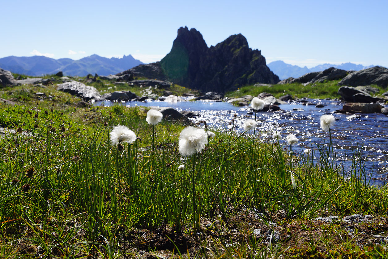 005-2013-08-12 refuge Bec Aigle (22)