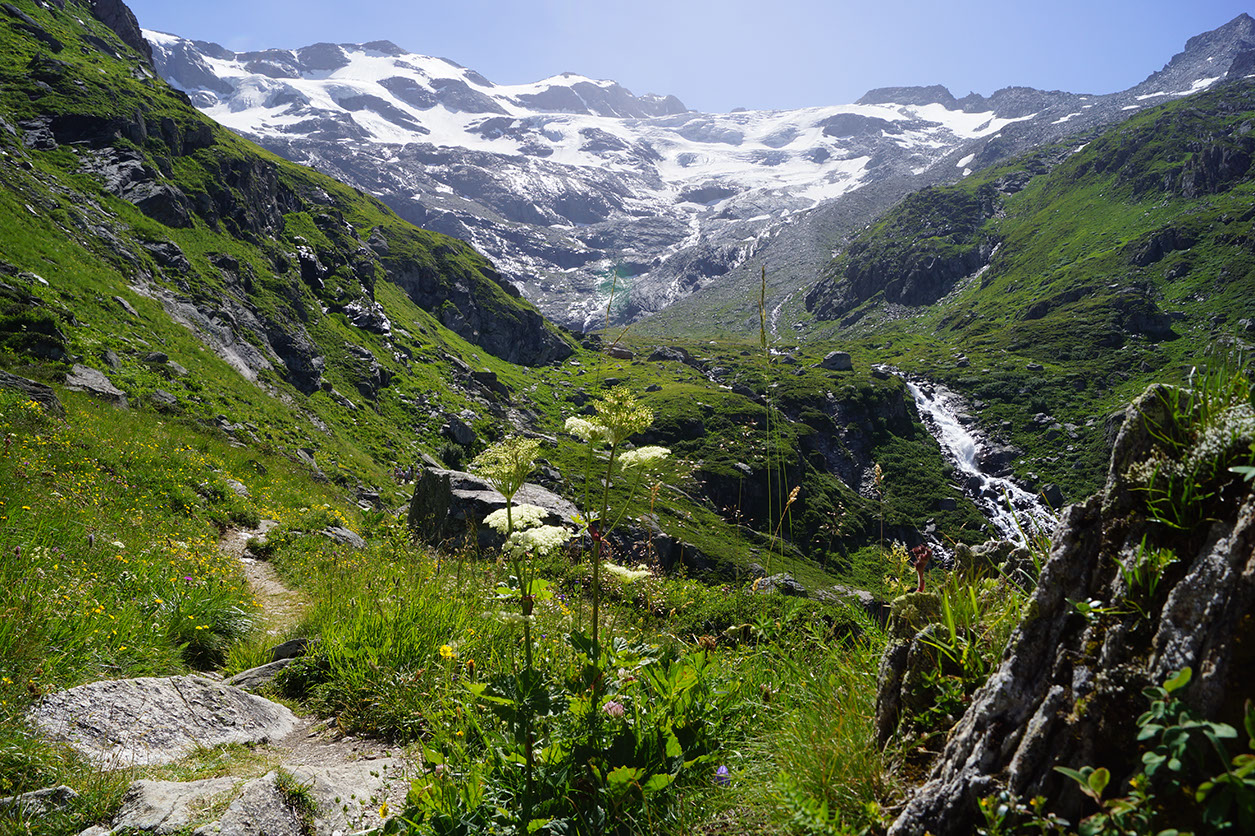 101-2013-08-05 cirque genepi (34)