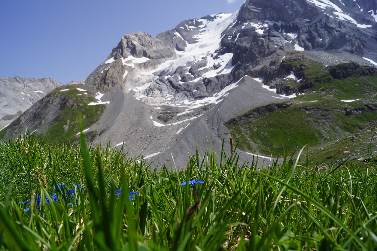 136-2013-08-03 Col Vanoise (87)