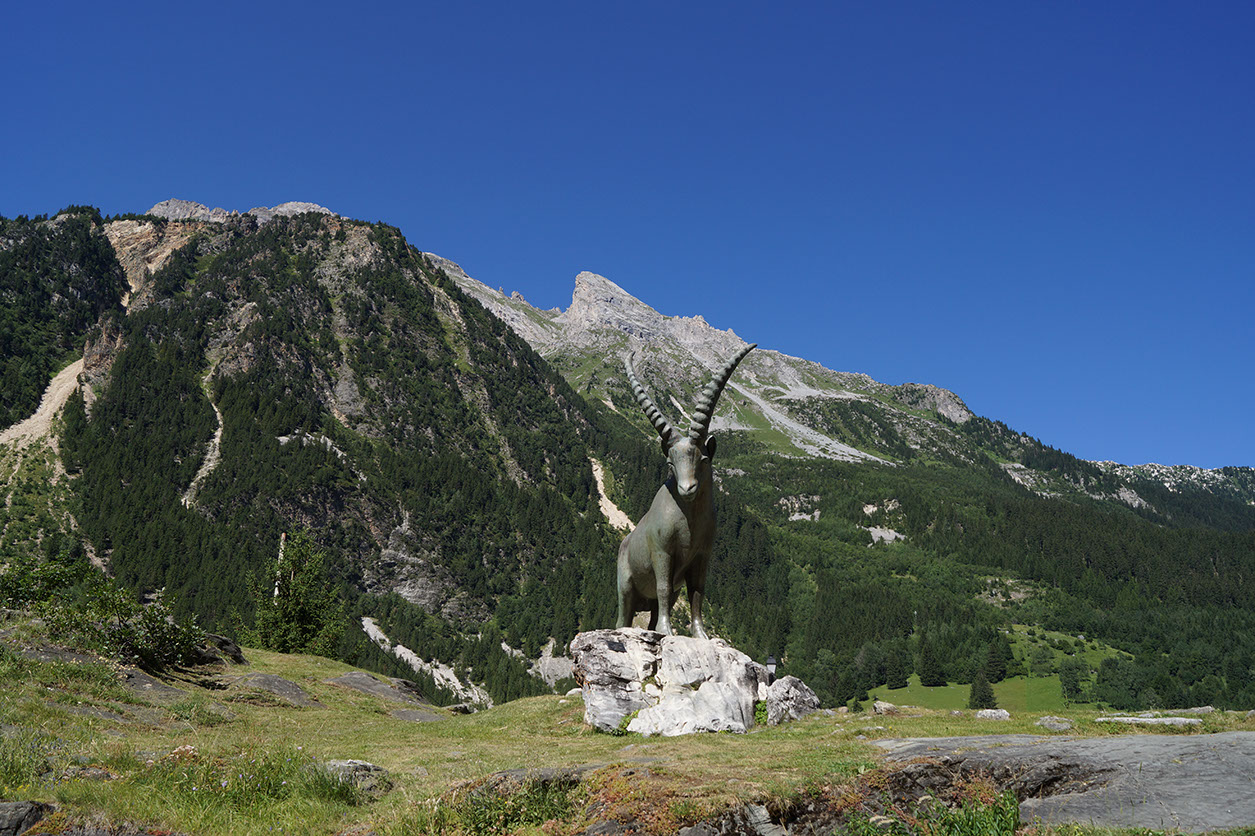 176-2013-08-01 Vanoise Pralognan (20)