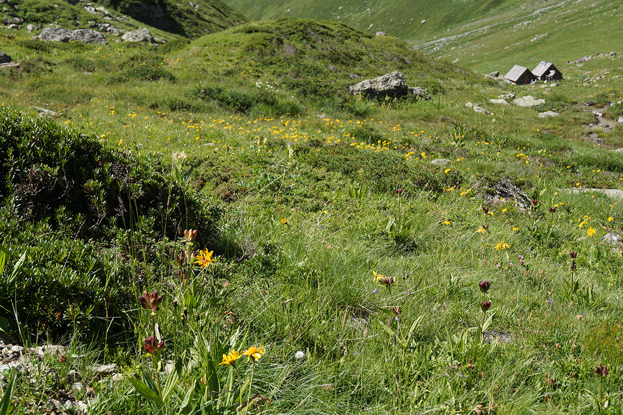 047-2013-08-10 plan serie (252)