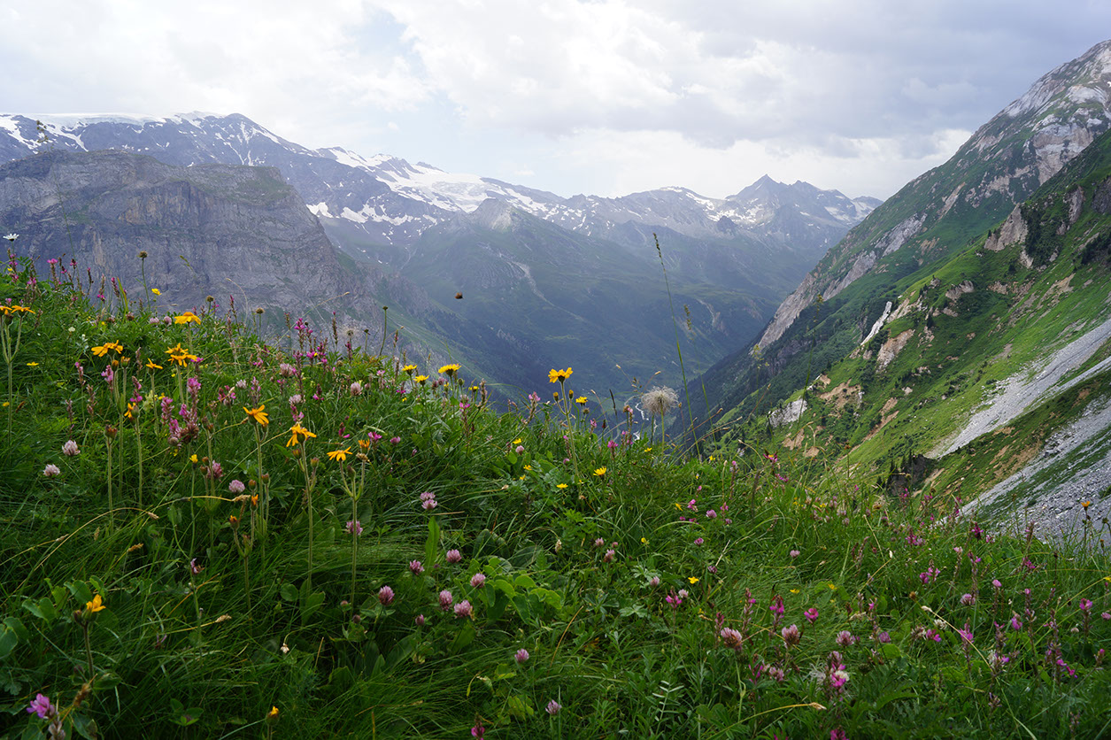 067-2013-08-06 col napremont fleurs(59)