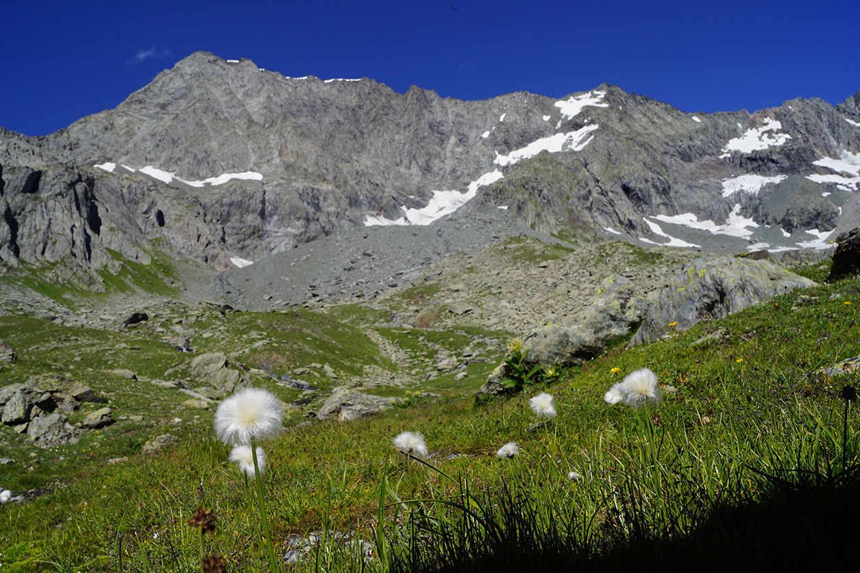 004-2013-08-12 refuge Bec Aigle (25)