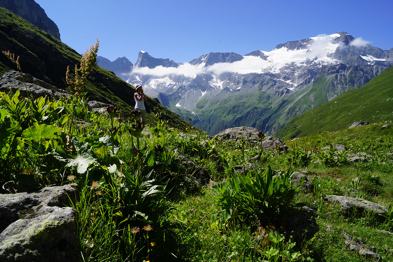 051-2013-08-10 plan serie (267)