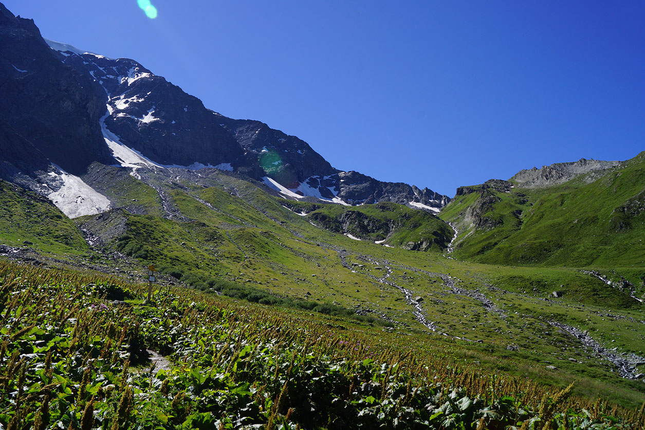 165-2013-08-02 Lac Chalet clou (23)