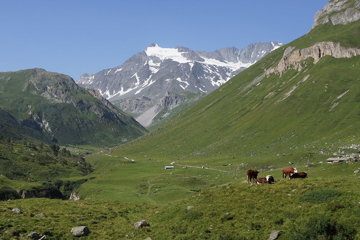 106-2013-08-05 cirque genepi (13)