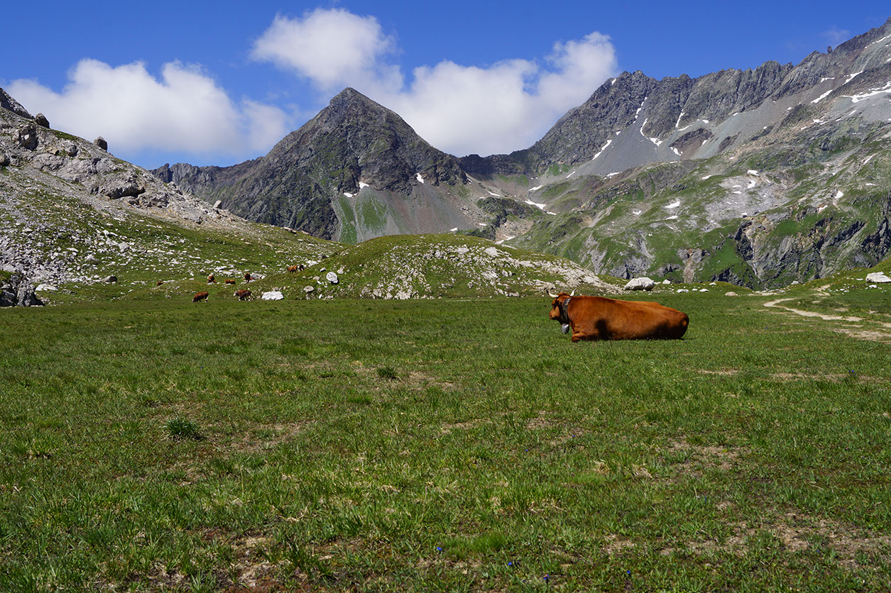 042-2013-08-10 plan serie (235)