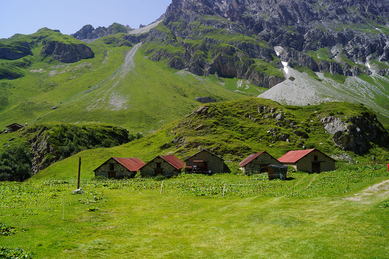 155-2013-08-02 Lac Chalet clou (70)