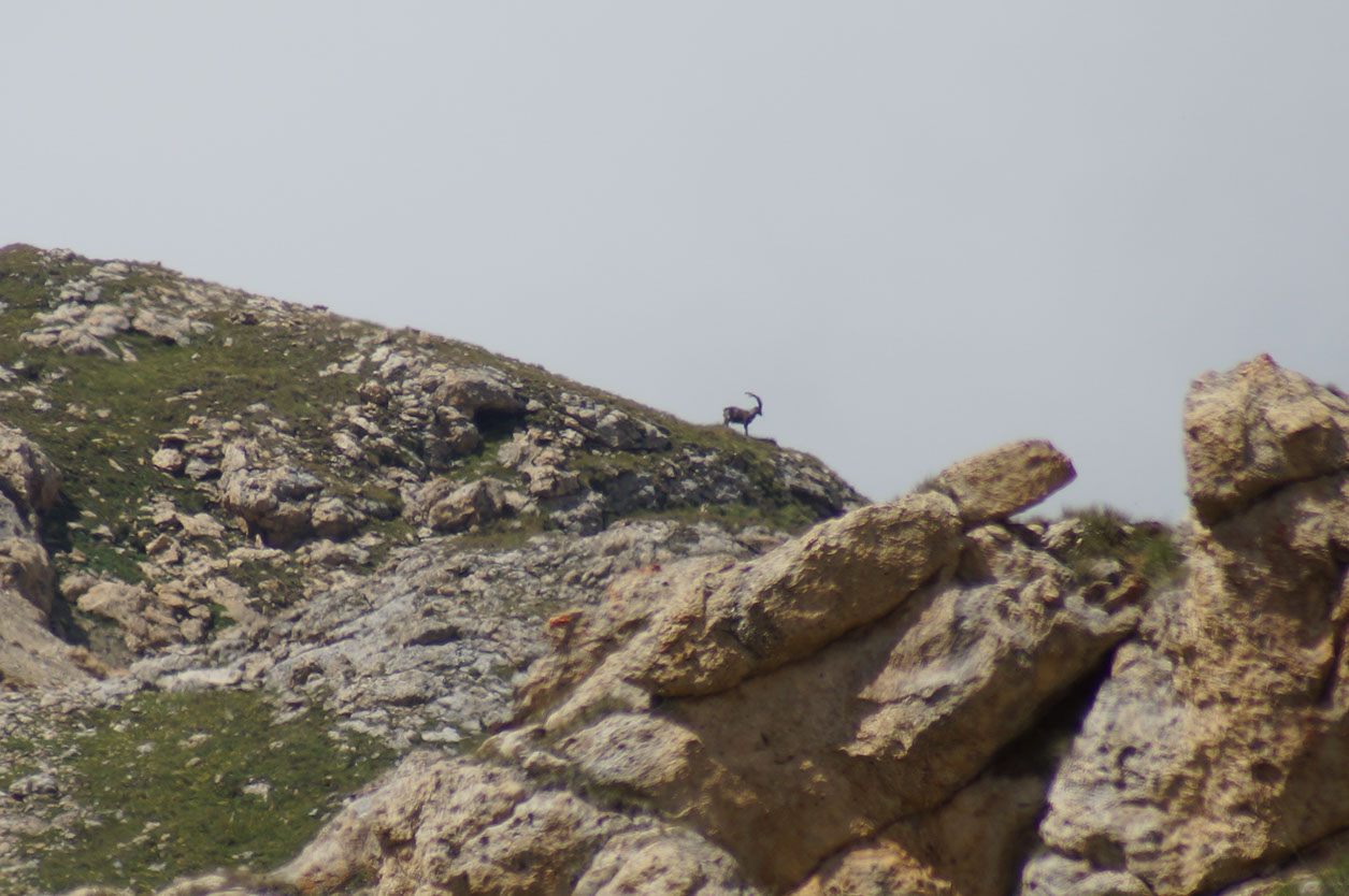 038-2013-08-10 plan serie (202)