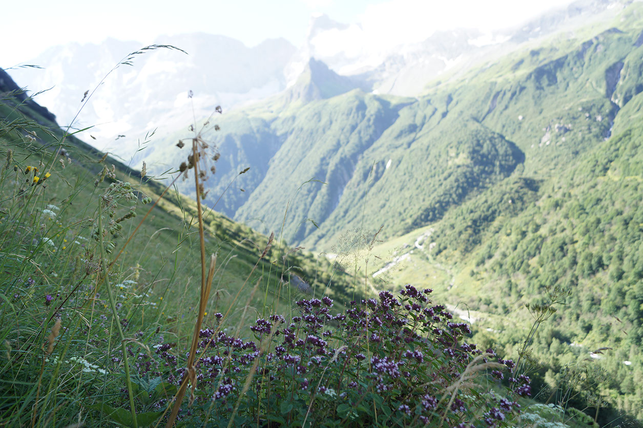 060-2013-08-10 plan serie (322)