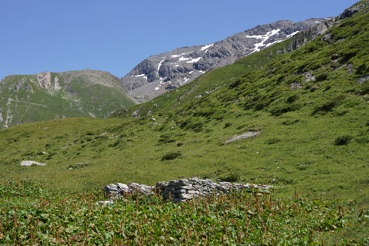 158-2013-08-02 Lac Chalet clou (57)