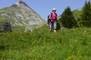 111-2013-08-03 Col Vanoise fleurs  (266)