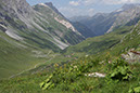 083-2013-08-05 cirque genepi (139)