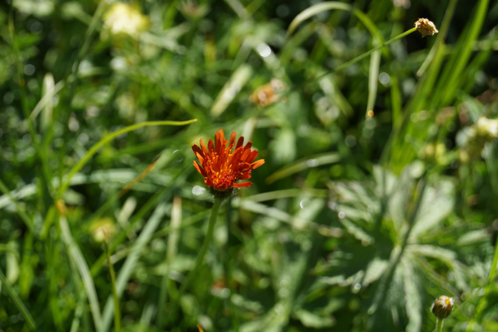 082-2013-08-10 plan serie (294)