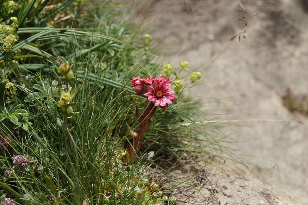 035-2013-08-03 Col Vanoise (209)