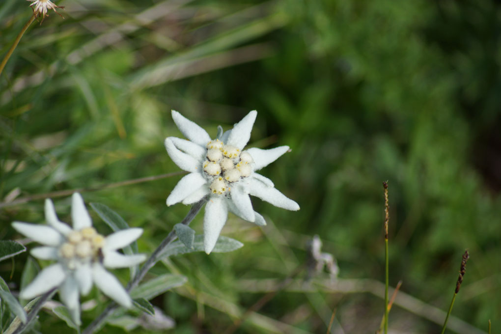 099-2013-08-10 plan serie (135)