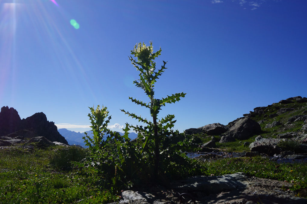 112-2013-08-12 refuge Bec Aigle (34)
