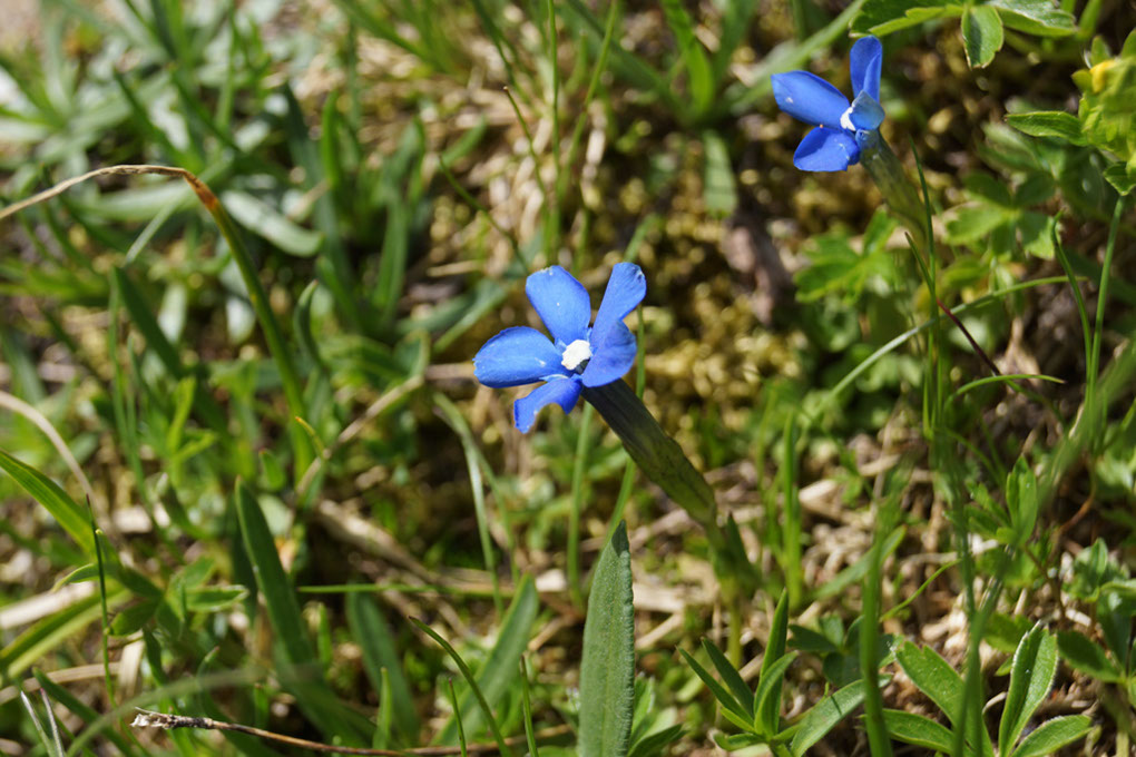 021-2013-08-03 Col Vanoise (68)