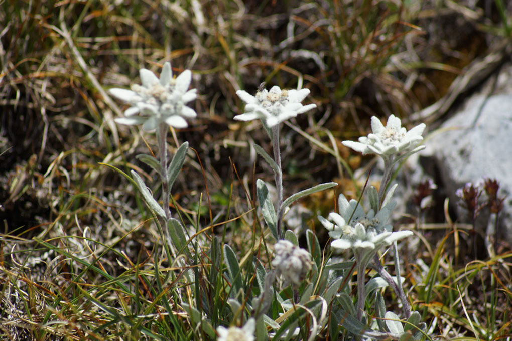 094-2013-08-10 plan serie (194)