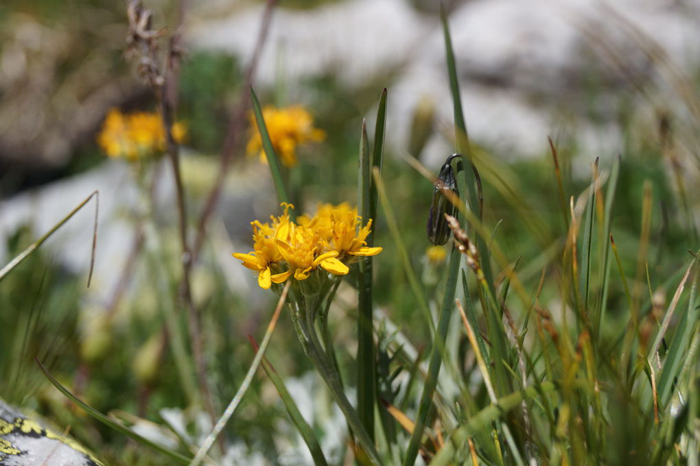 092-2013-08-10 plan serie (215)