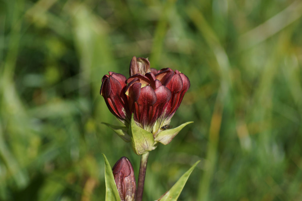 103-2013-08-10 plan serie (124)