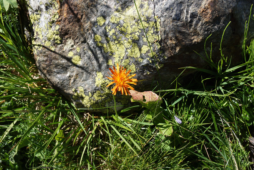 009-2013-08-02 Lac Chalet clou (28)