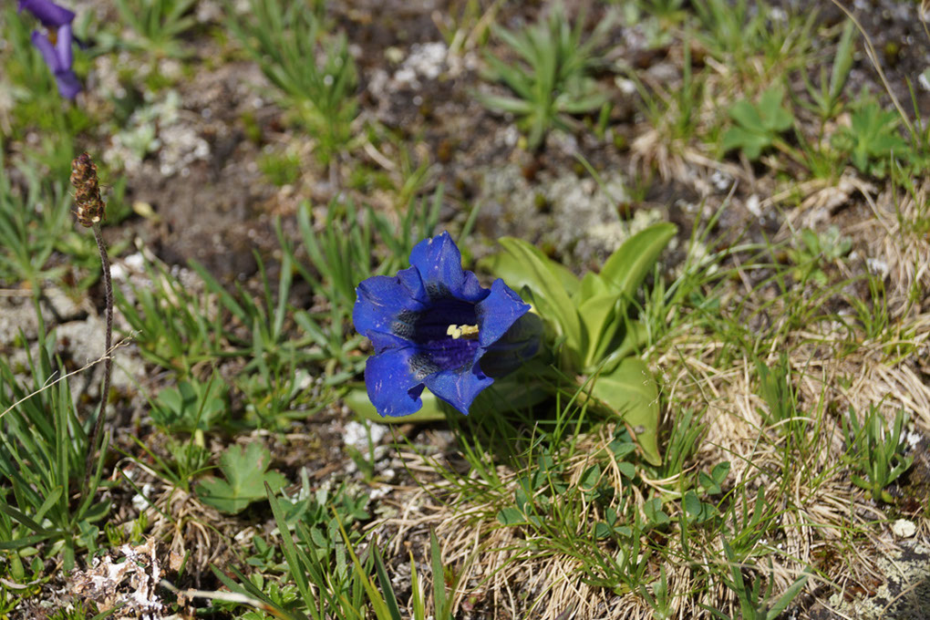 020-2013-08-03 Col Vanoise (60)