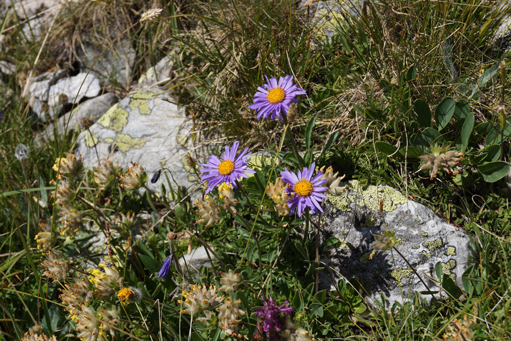 090-2013-08-10 plan serie (218)