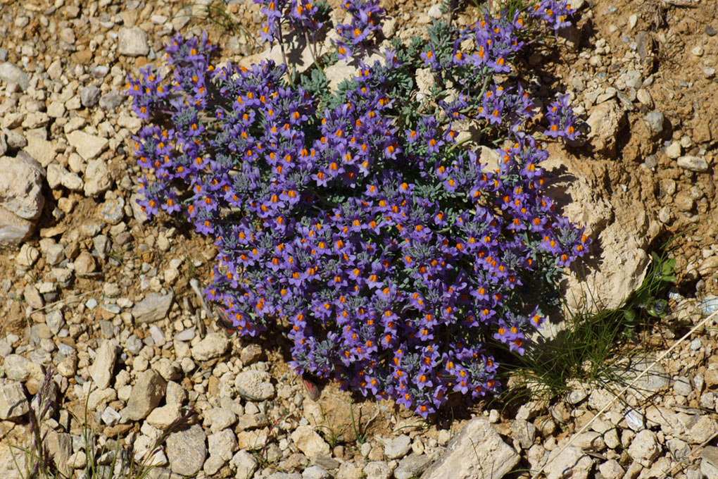 096-2013-08-10 plan serie (161)