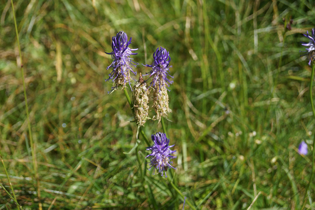 084-2013-08-10 plan serie (290)