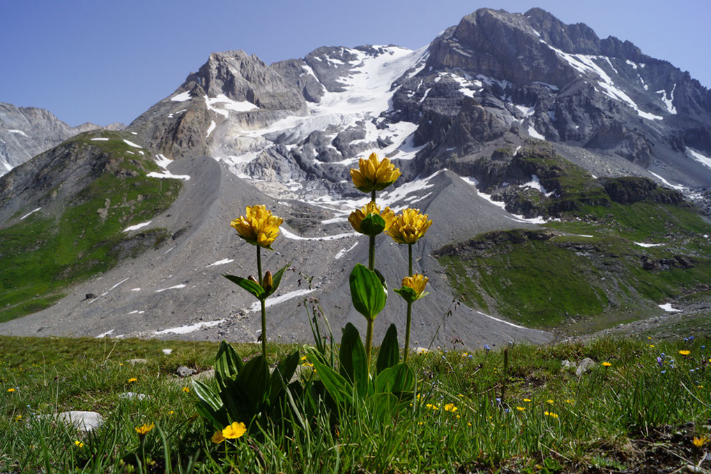 026-2013-08-03 Col Vanoise (81)