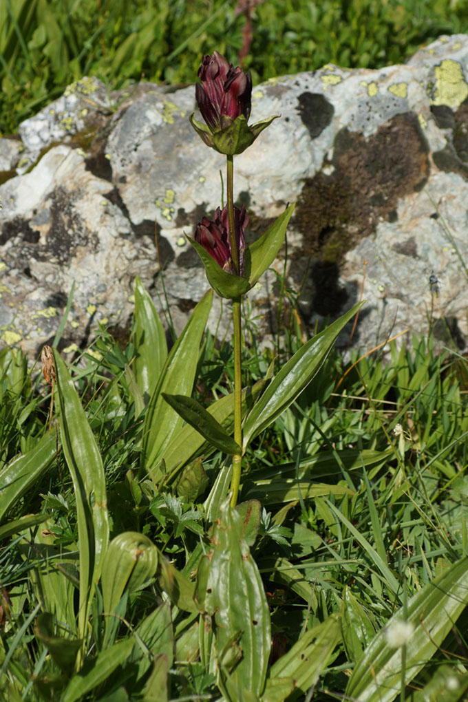 104-2013-08-10 plan serie (120)