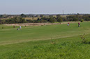 019-2015-10-01 golf Vendée (145)
