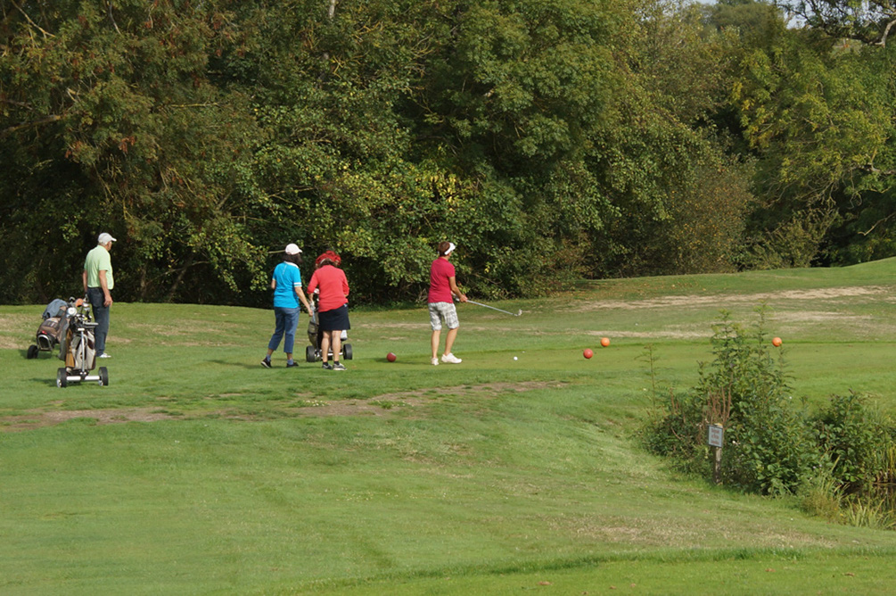 2017-09-26 Golf MGEN La dommangere (40)