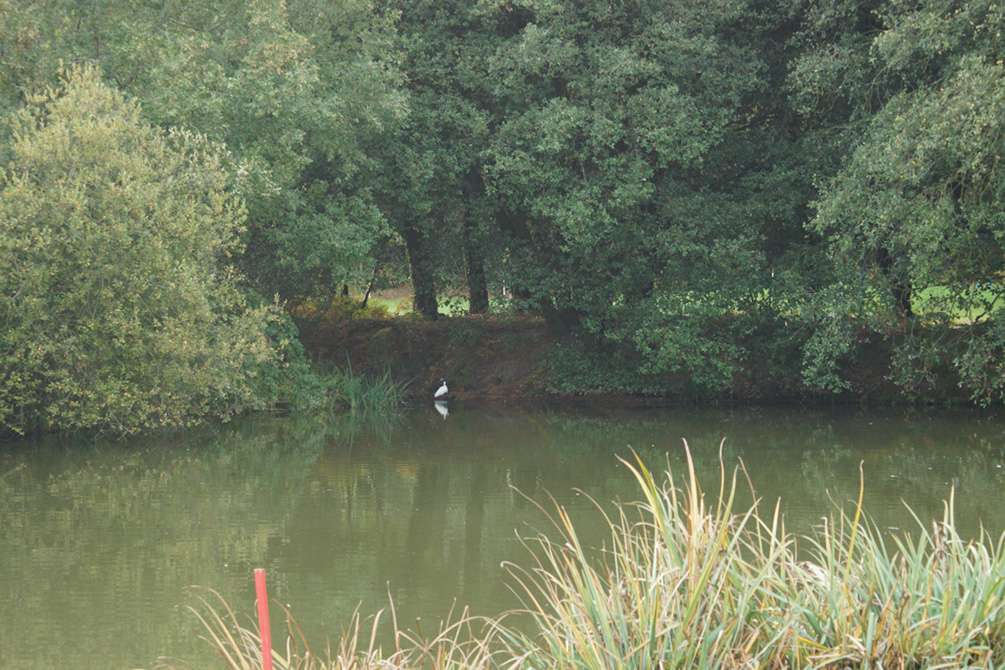 2017-09-28 Golf MGEN Port-bourgenay (274)