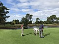 2019-10-01-Arcachon-Golf-(79).jpg 2019-10-01-Arcachon-Golf-(79).jpg
