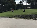 2019-10-01-Arcachon-Golf-(83).jpg 2019-10-01-Arcachon-Golf-(83).jpg