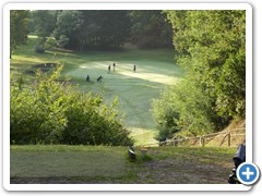 2020-10-09-golf arcachon-2F (42)