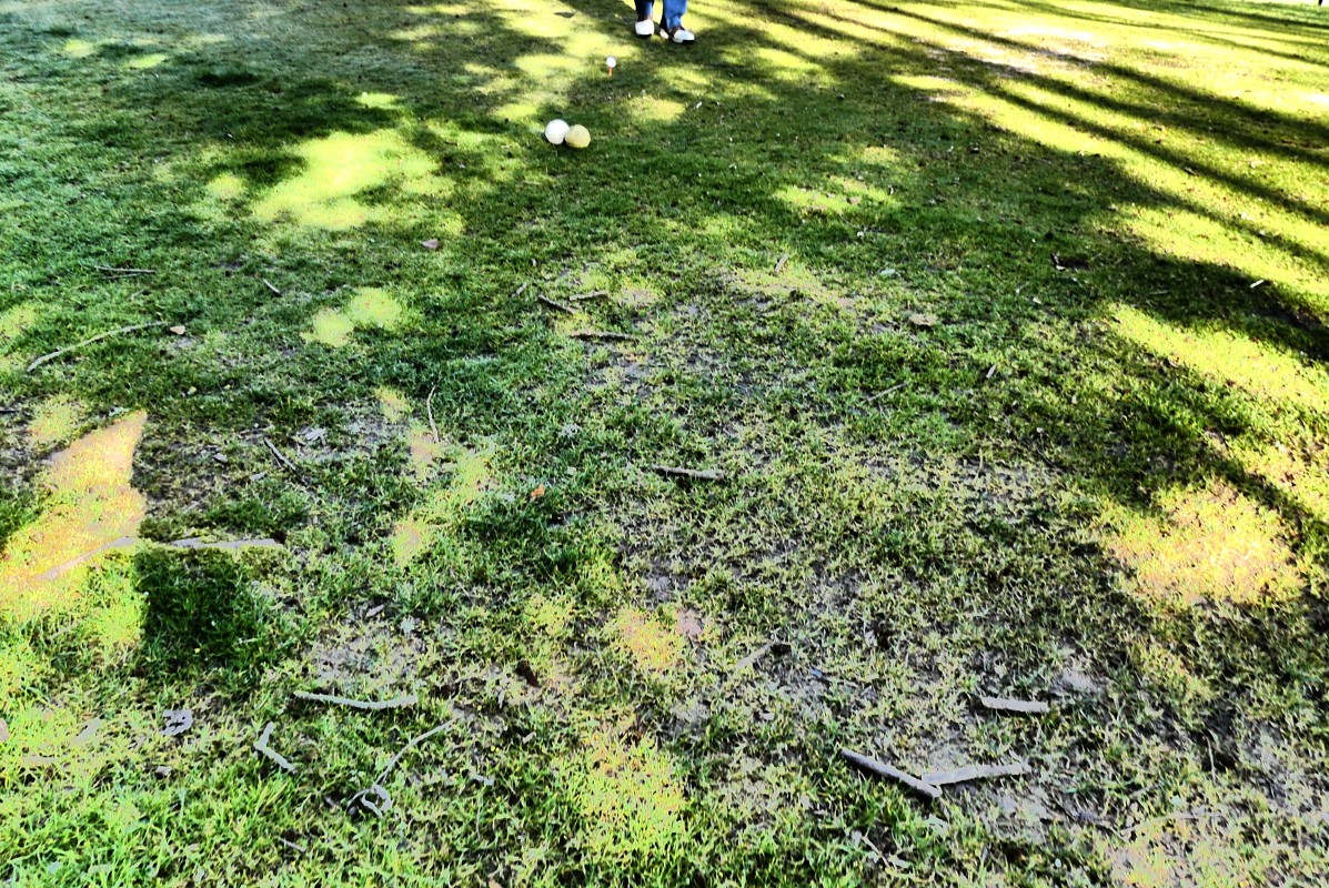 2022-04-04-sotie-golf-2F-retraite-Val-Indre (22).jpg