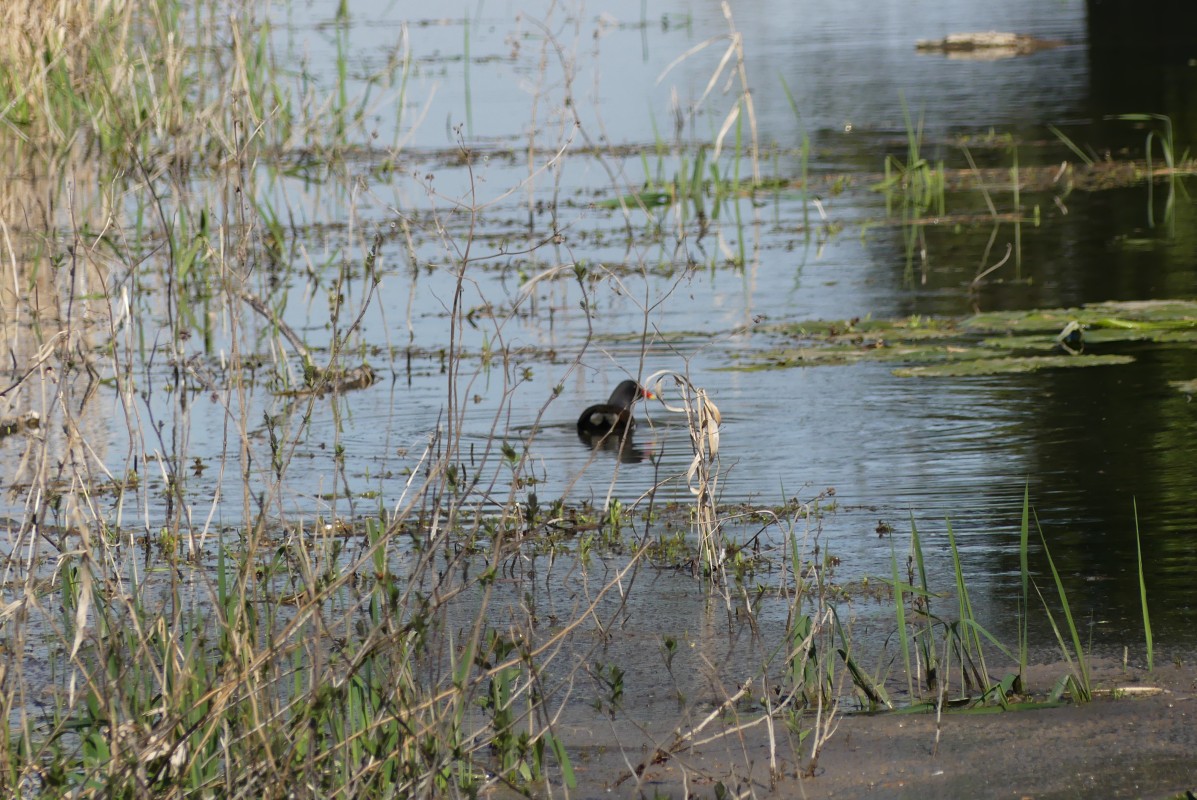 2022-04-04-sotie-golf-2F-retraite-Val-Indre (73).jpg