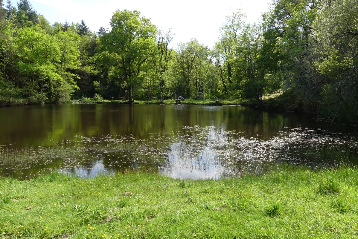 2022-05-03-golf-genet  (64).jpg