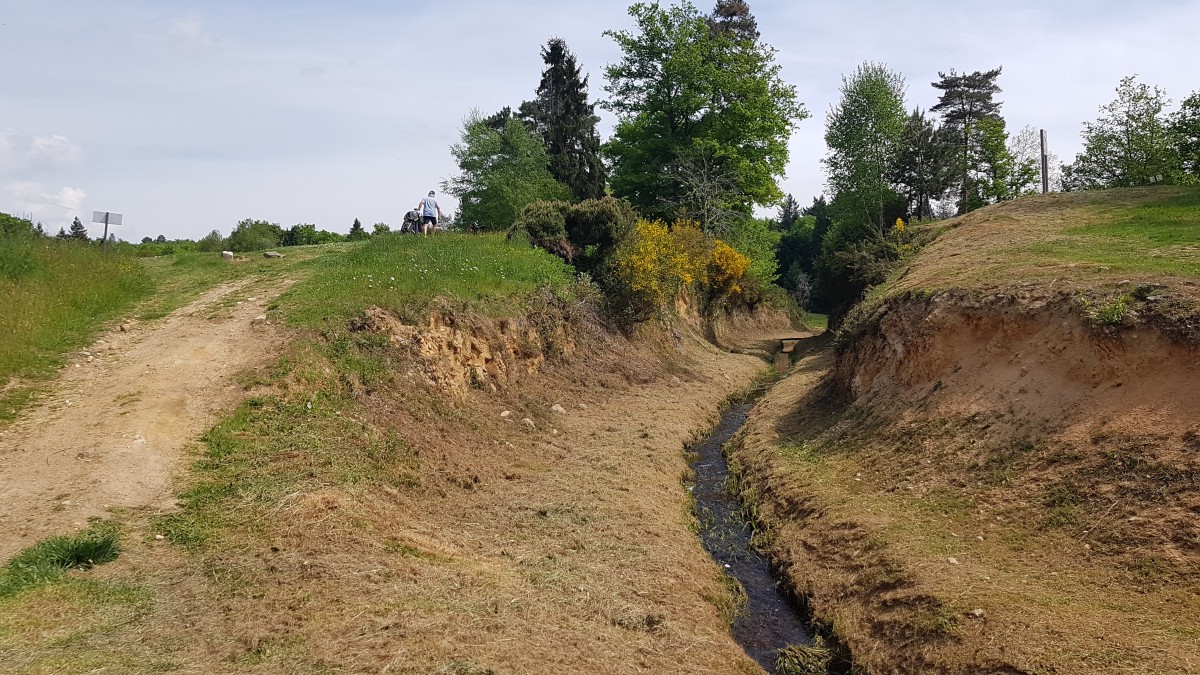 2022-05-03-golf-genet  (70).jpg