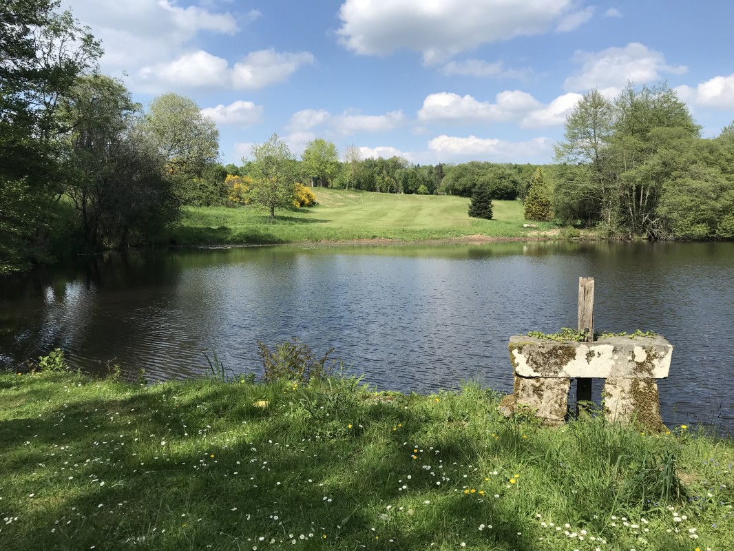 2022-05-03-golf-genet  (83).jpg