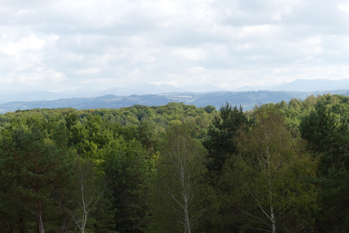 2022-09-15-Vezac-haute-auvergne (82).jpg