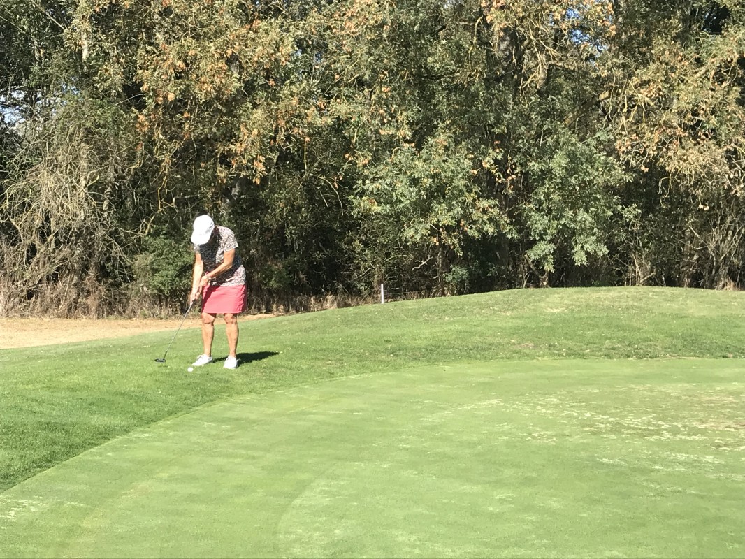 2023-09-20-22-golf-2Fopen87-CSS-sortie sancerre-Bourges  (3).jpg