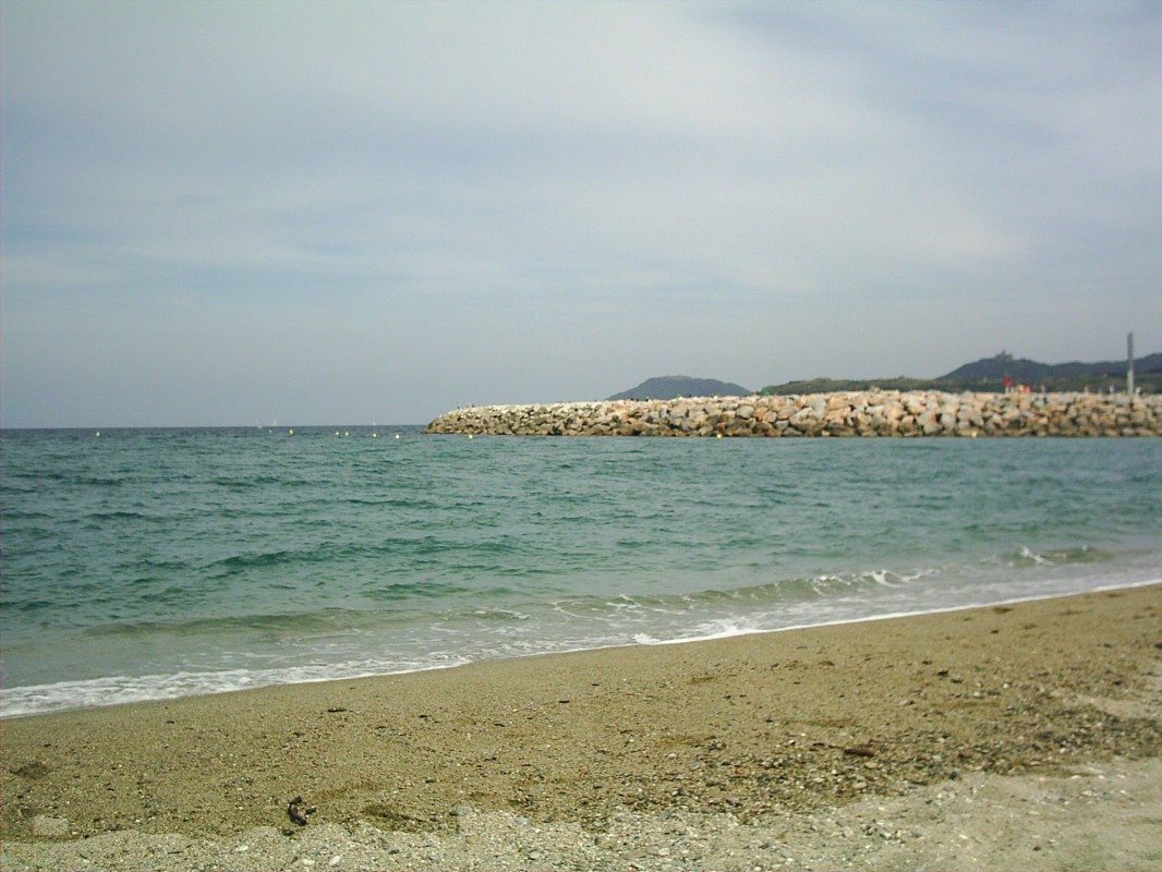 Photos cousinade (24).jpg