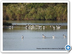 2019-10-27-reserve-Tech (112)