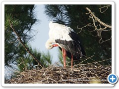 2019-10-27-reserve-Tech (116)