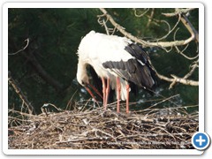 2019-10-27-reserve-Tech (117)