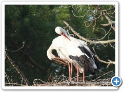 2019-10-27-reserve-Tech (119)